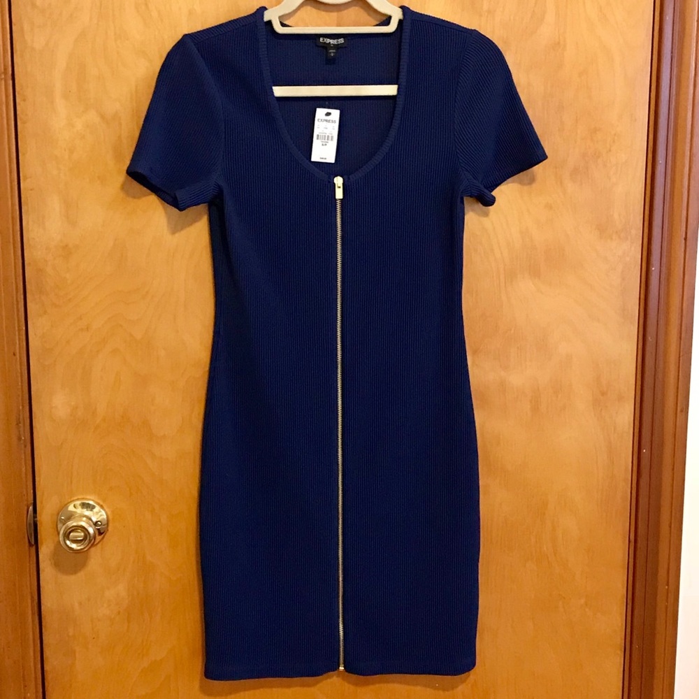 Express Women’s Navy Fitted Mini Dress